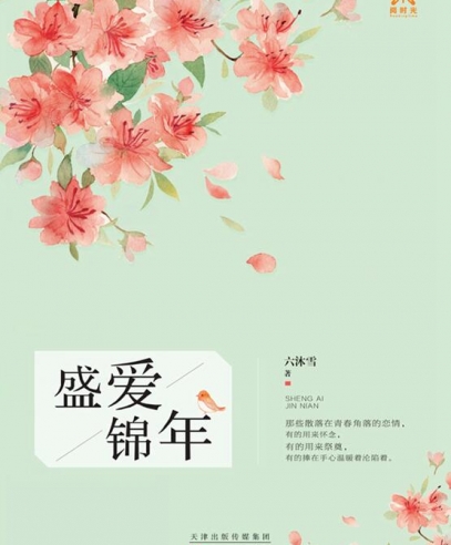 盛愛錦年:青春太短,有你而安